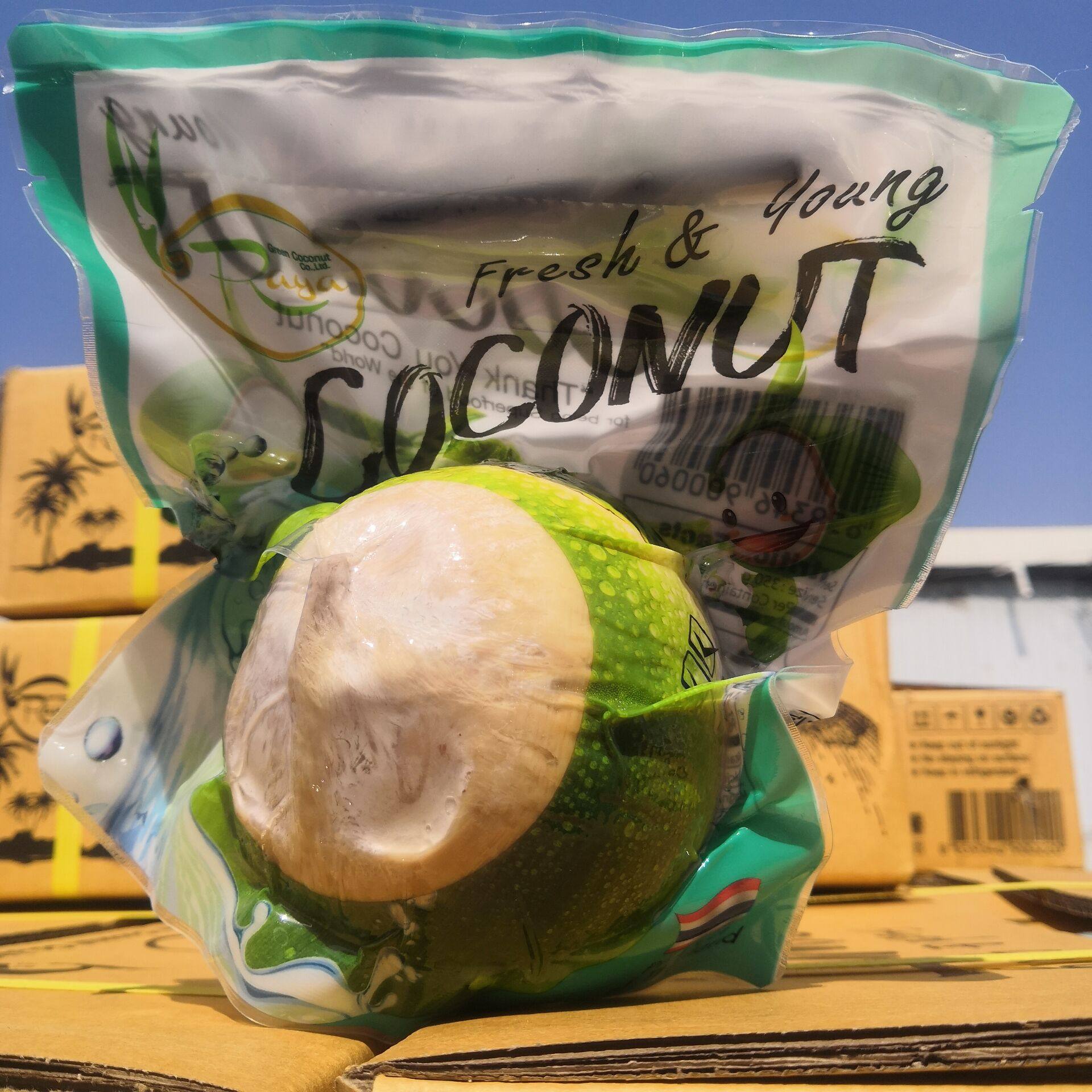 现货新鲜泰国coco牛奶烧烤12个装奶香椰青