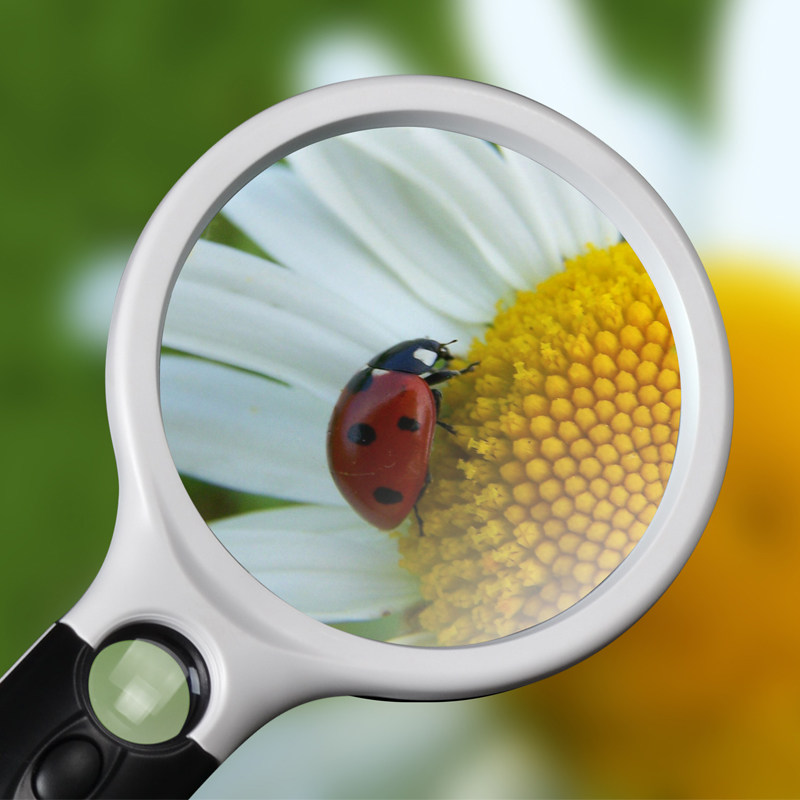 放大镜带led灯10高清20倍老人阅读儿童学生老年用小小科学家100mm30