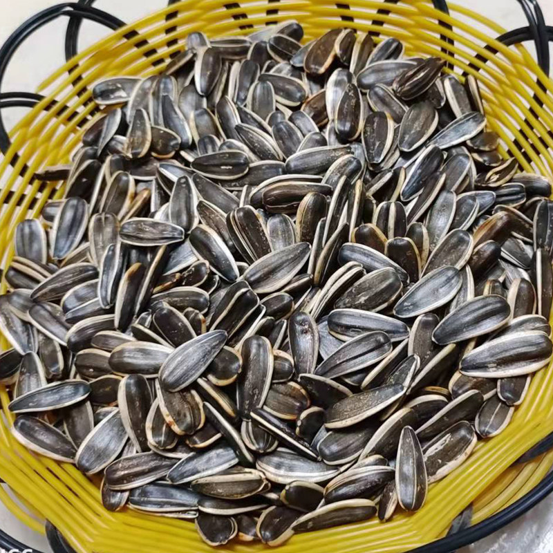 瓜子干炒现卖年货新年货500g花子现炒原味熟葵瓜子