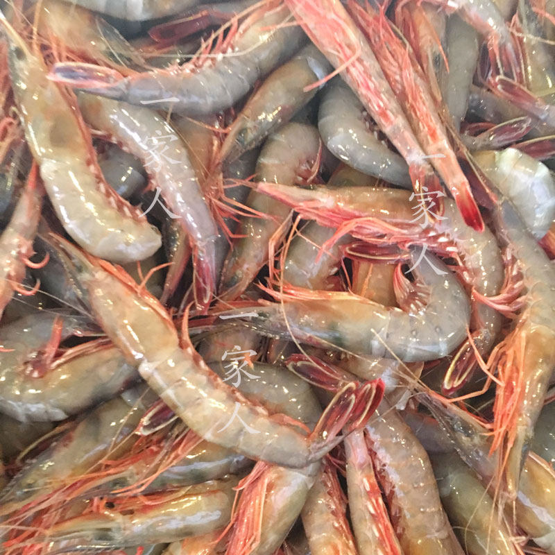 宁波滑皮虾剑虾呛硬壳对虾海虾新鲜野生石浦东活虾