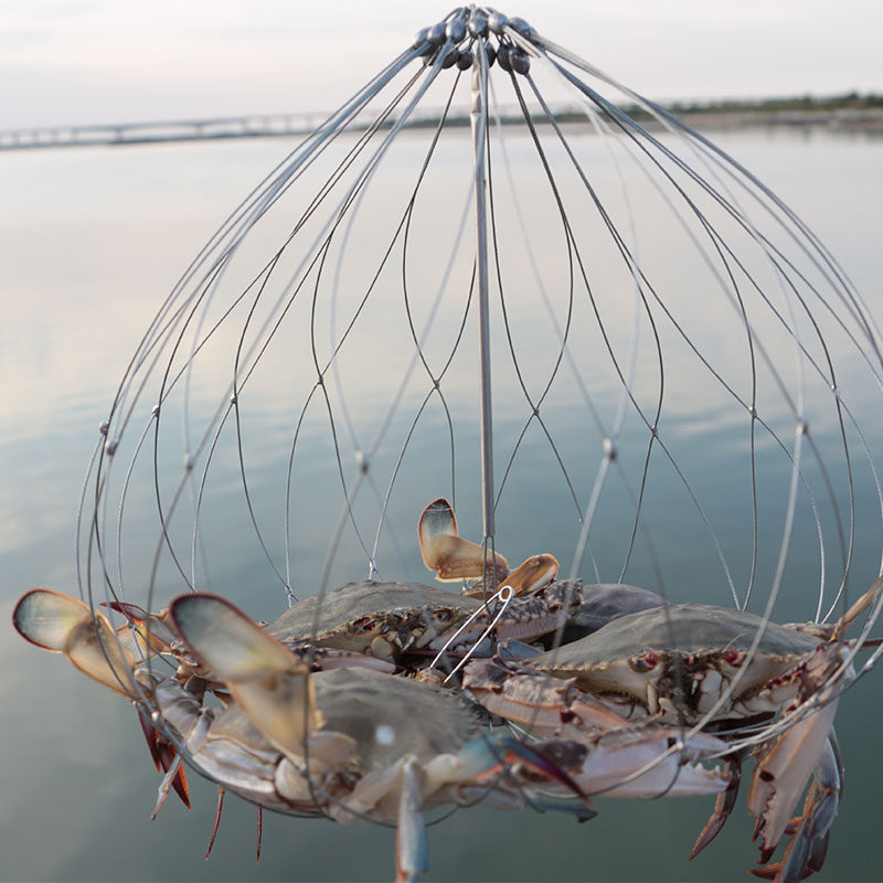 螃蟹河蟹钩钓套钓大闸蟹工具神器专用自动收放鱼网