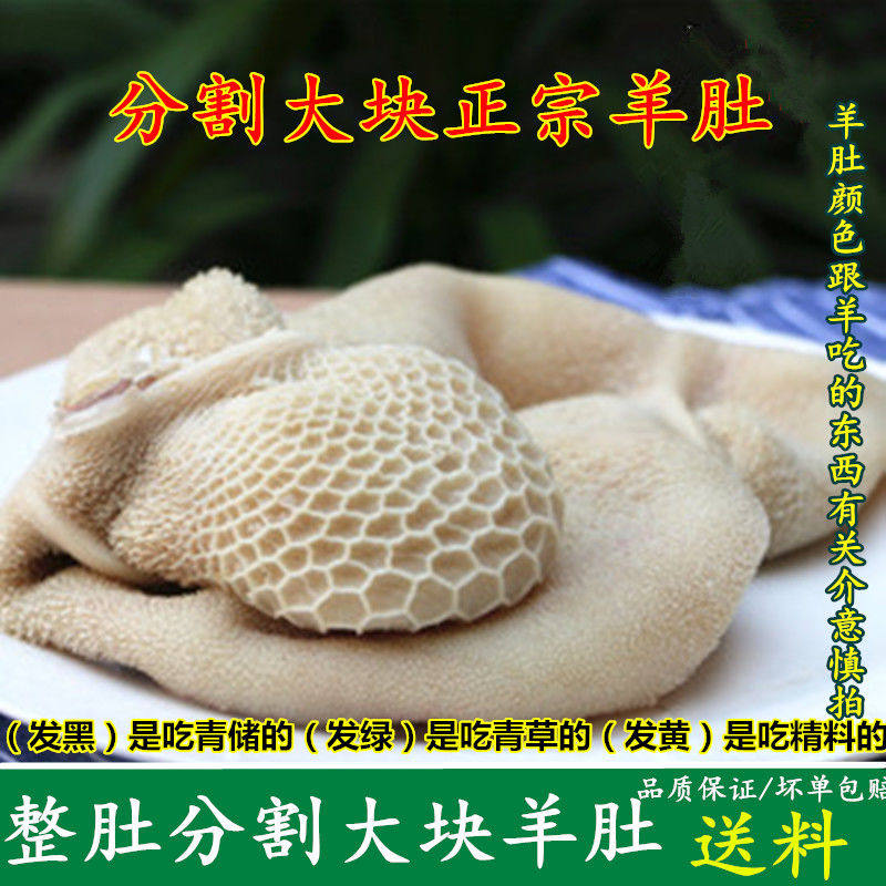 羊肚正宗大块1斤半成品凉菜涮锅火锅其它