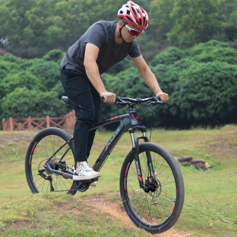 喜德盛英雄300青春版山地山地车 xds喜德盛山地自行车