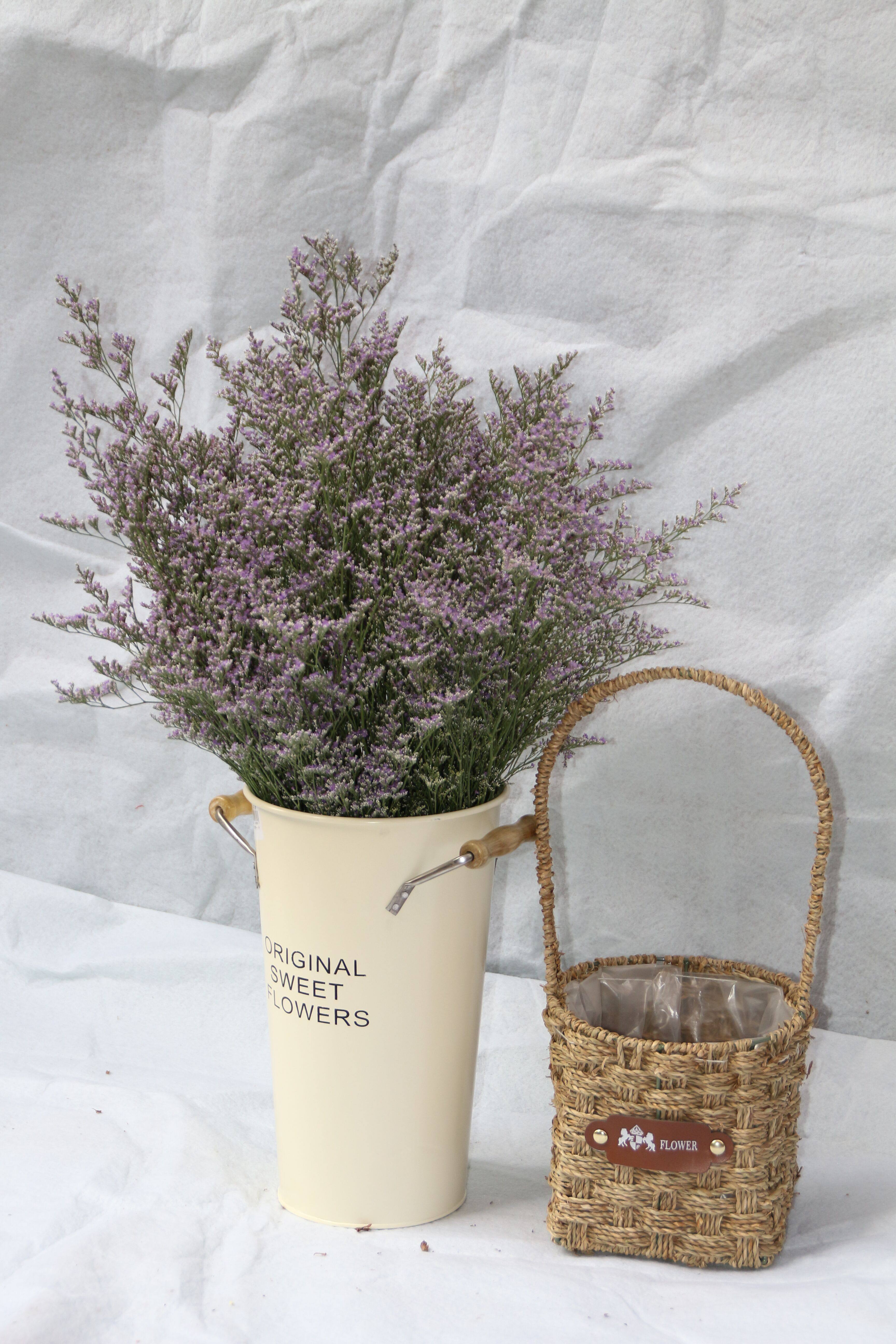 干花半干情人草云南昆明配花摆放花艺干花