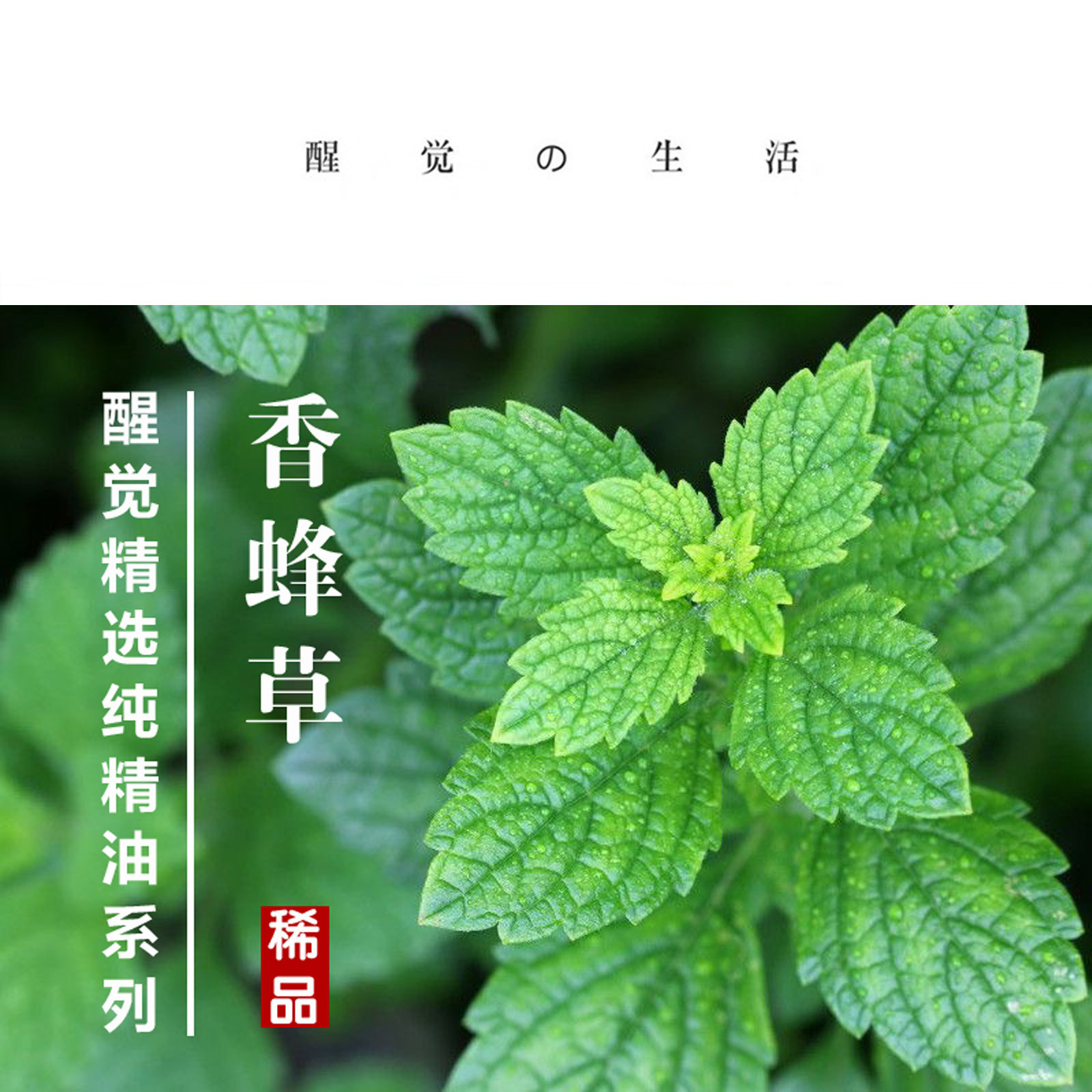 醒觉精选单方精油珍贵有机香蜂还我轻松安睡复方精油