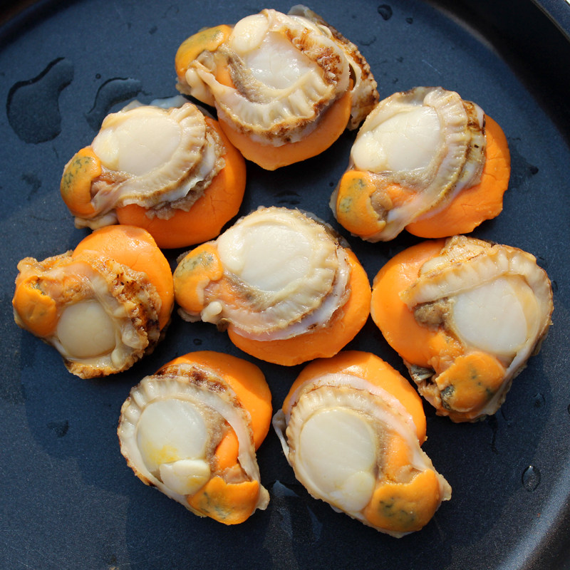 红贝扇贝冷冻新鲜特大北城海鲜水产鲜活扇贝