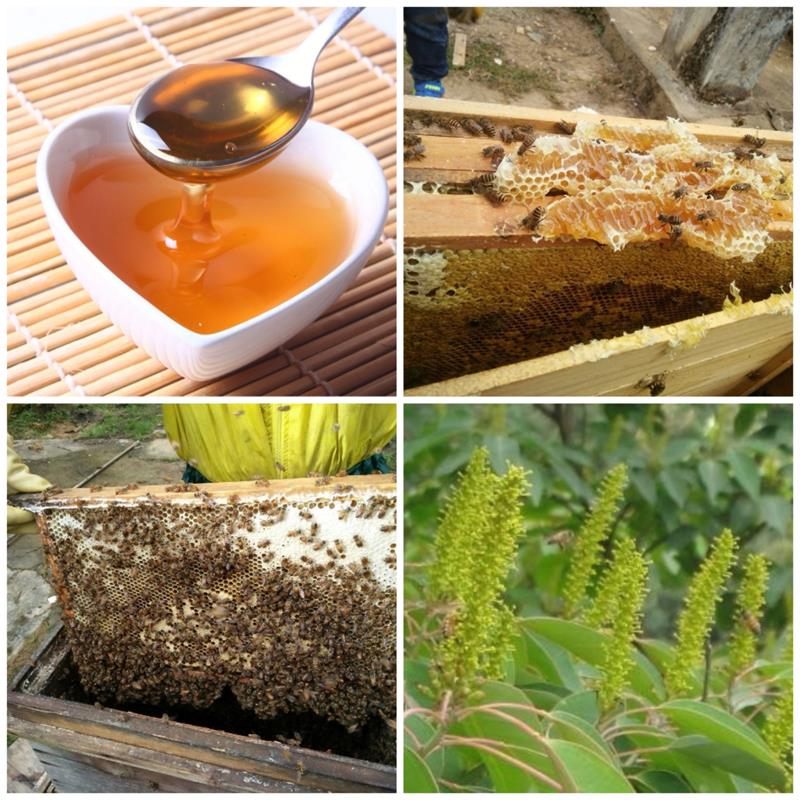 3斤土蜂蜜纯正天然农家自产野生无添加乌桕百花蜜龙眼蜜孕妇儿童
