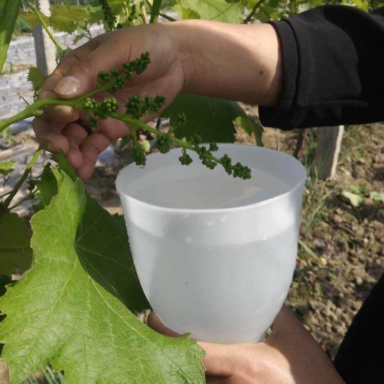 葡萄神器药器蘸药喷药膨大剂浸果杯浸果拉穗其它农用工具