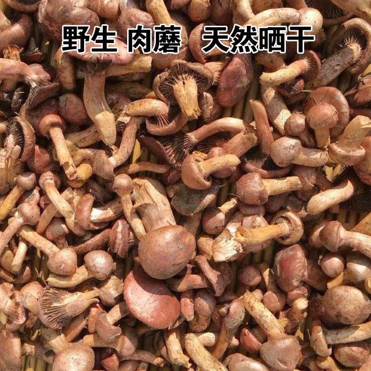 蘑菇野生生肉红肉松树整个个中承德农家干货香菇类