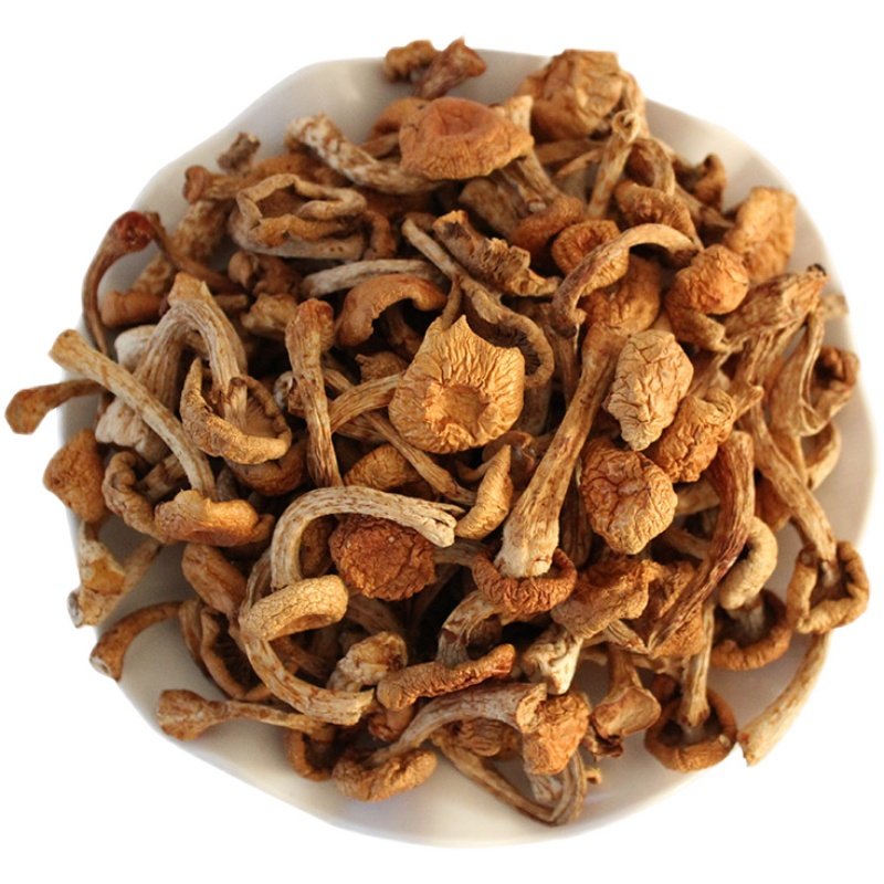 菇干承德东北特产食用滑菇滑子蘑去根小黄蘑滑香菇类