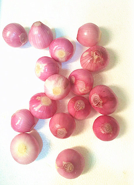 新鲜小干带皮葱头500g京津冀任意6件包邮其它