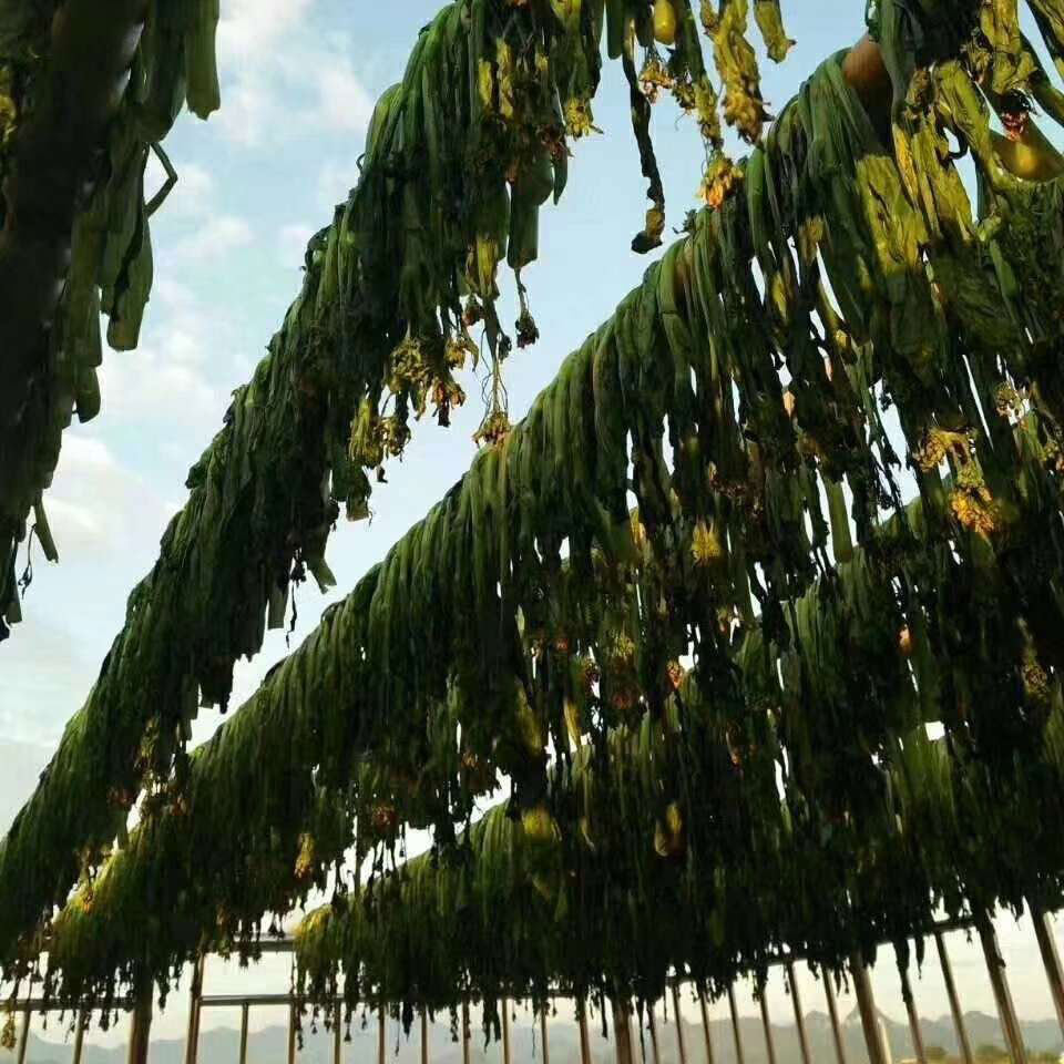 菜心菜干清远连州农家自晒脱水蔬菜干货煲汤其它