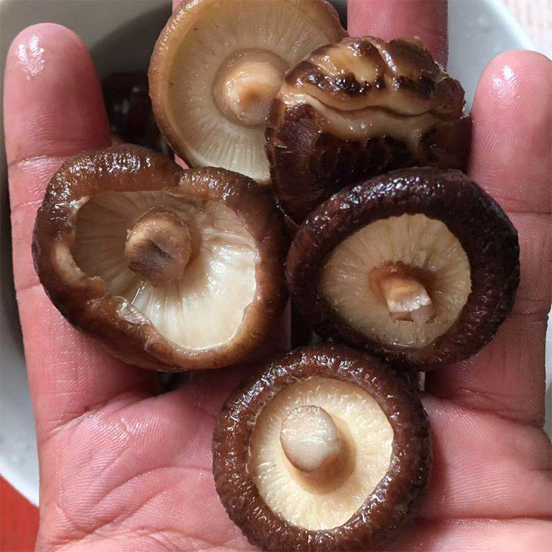 香菇特级500g金钱菇剪脚新鲜小香蘑菇特产干货香菇类