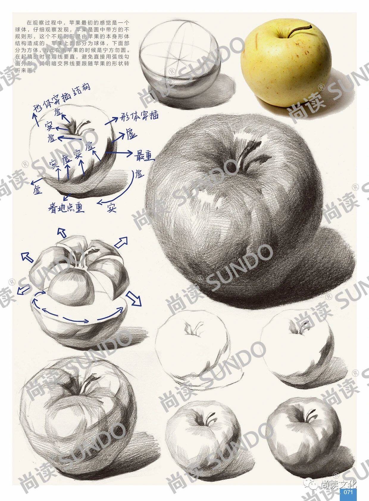 静物临摹素描结构画语经典八开敲门砖演绎陈平绘画新