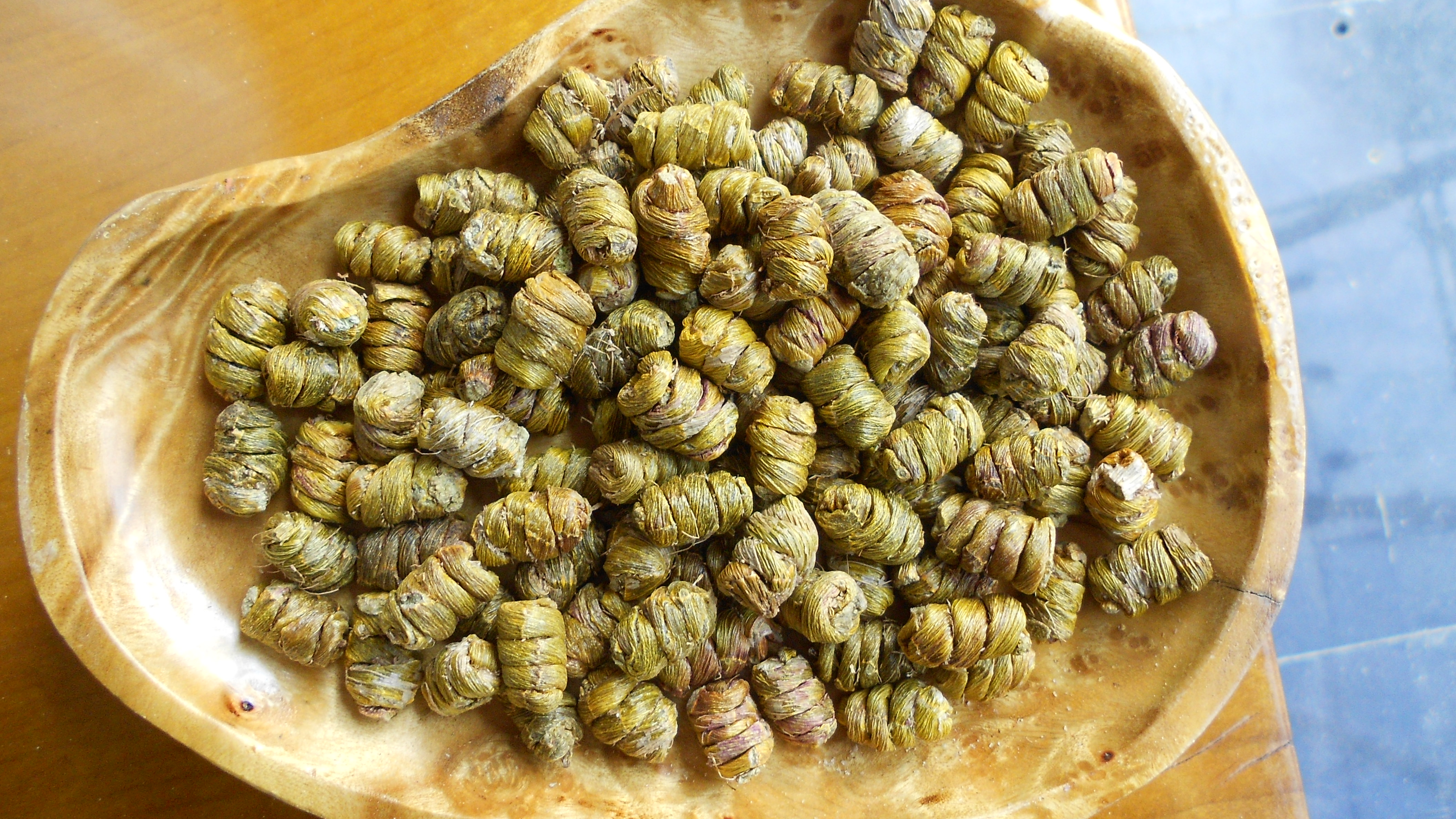 石斛云南德宏基地新鲜鲜条铁皮枫斗可打50克石斛