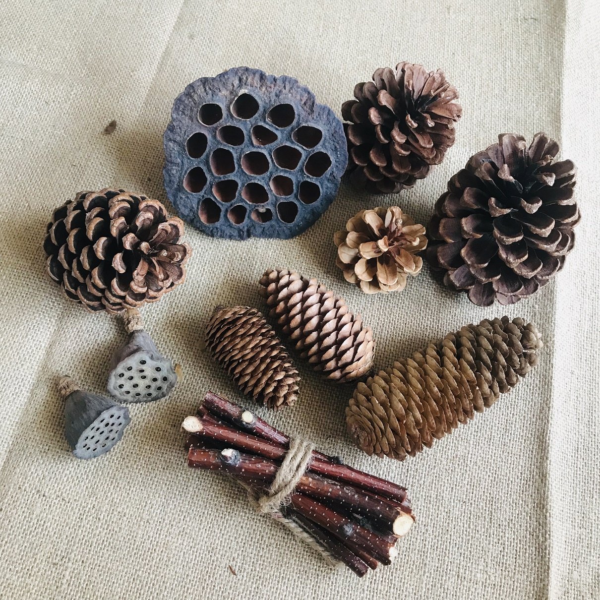 松果手工松塔包松塔材料diy森系装饰树枝幼儿园干花