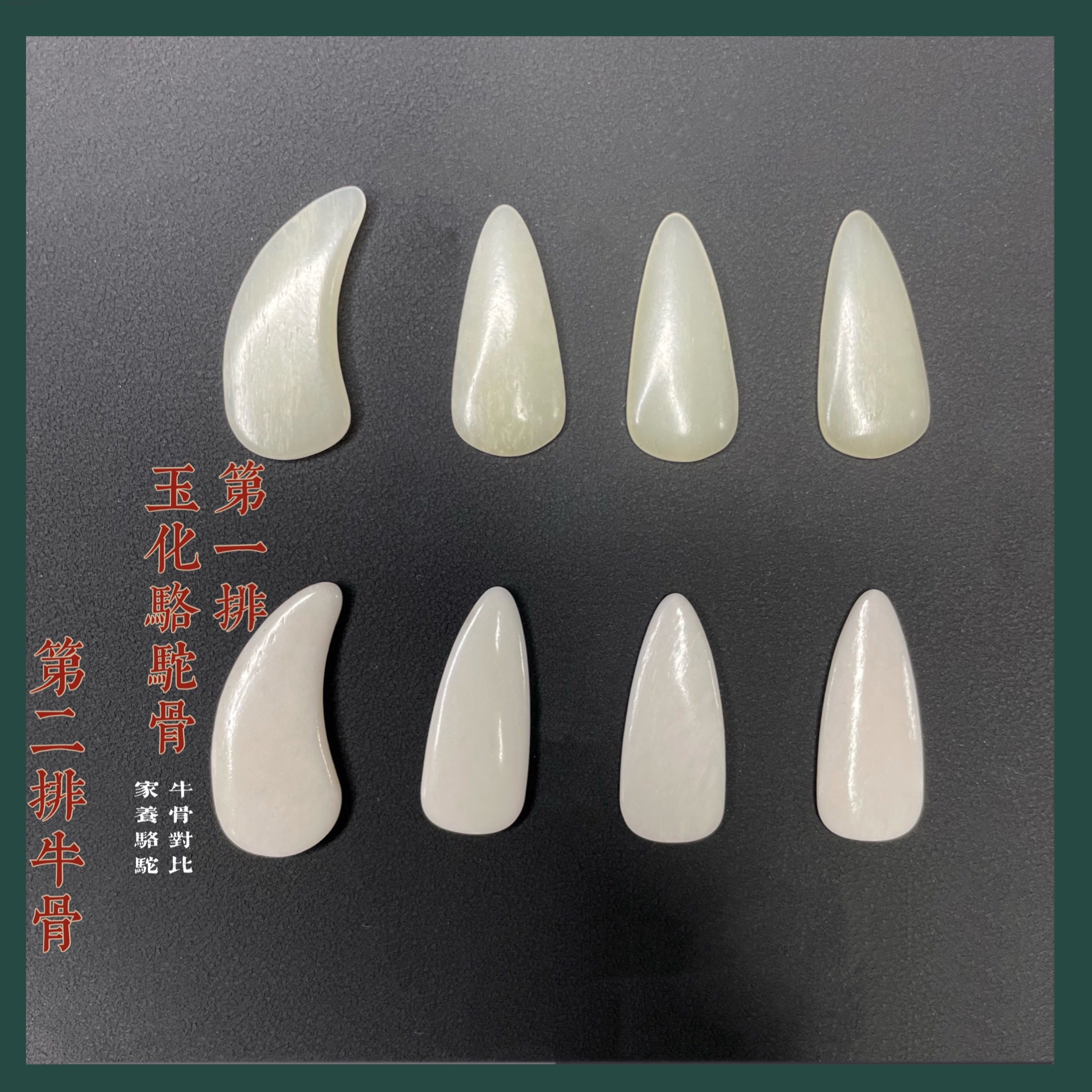 敦煌古筝指甲天然牦牛骨温若妮单面弧款成人乐器指甲