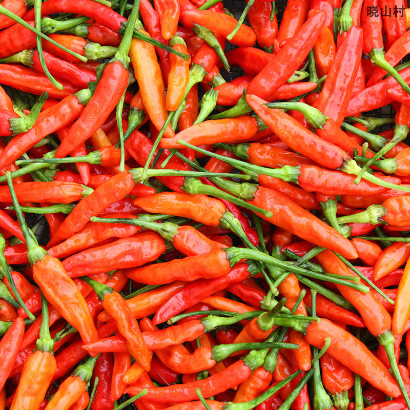 山村江西赣州农家小米椒辣椒干超辣特辣红赣南辣椒粉料