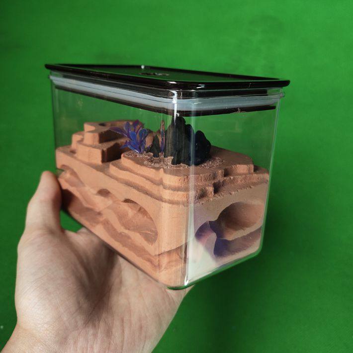 蚂蚁lzd1蚁巢石膏工坊蚂蚁