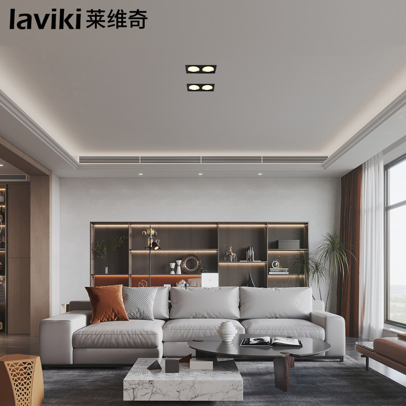 led筒灯双头格栅斗胆吊灯天花花灯客厅走廊筒灯