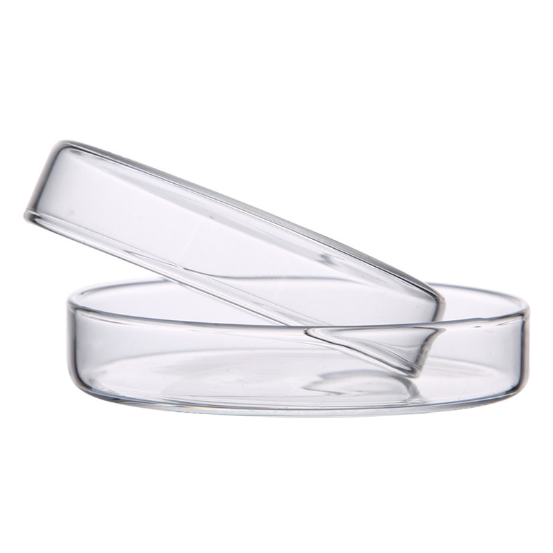 耐高温玻璃透明培养皿细胞加厚盖实验室60/75/90/100/120/150mm