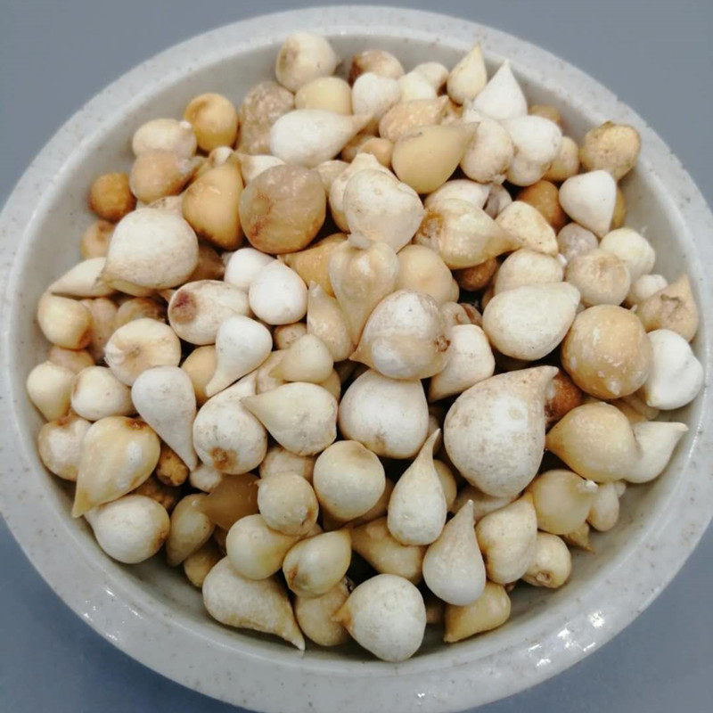 光慈中药材白慈姑白茨菇老鸦瓣头光茨中草药其他药食同源食品