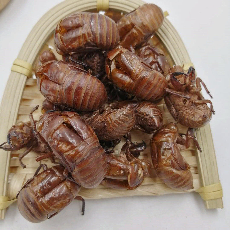 蝉蜕250g蝉衣蝉壳虫蜕虫退猴壳金蝉皮衣中药材其他药食同源食品
