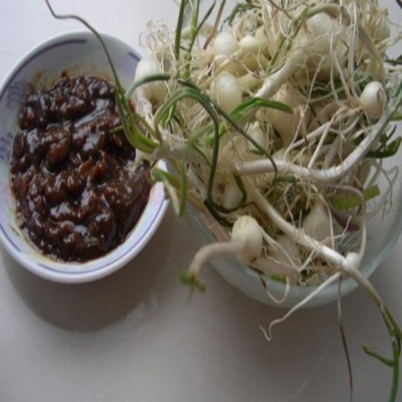 小根东北新鲜野生山野菜菜大脑瓜嘣蹦蒜山500g2其它