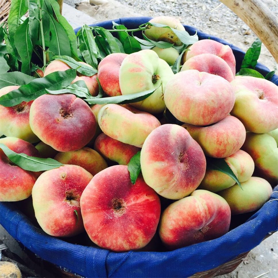 【一号冰川】5斤特级新疆蟠桃 顺丰航空件桃子水果新鲜水蜜桃毛桃