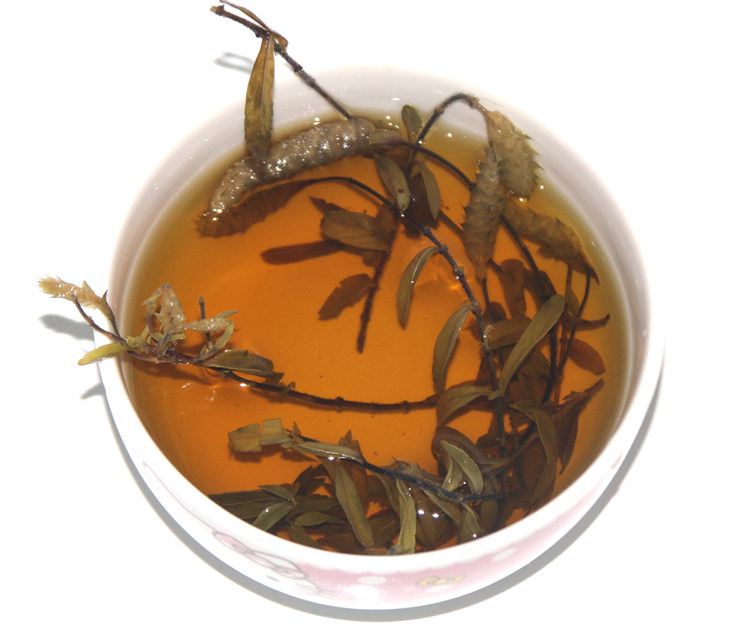 云南文山土特产紫苏凉茶凤尾野生山茶毛茶500克养生茶