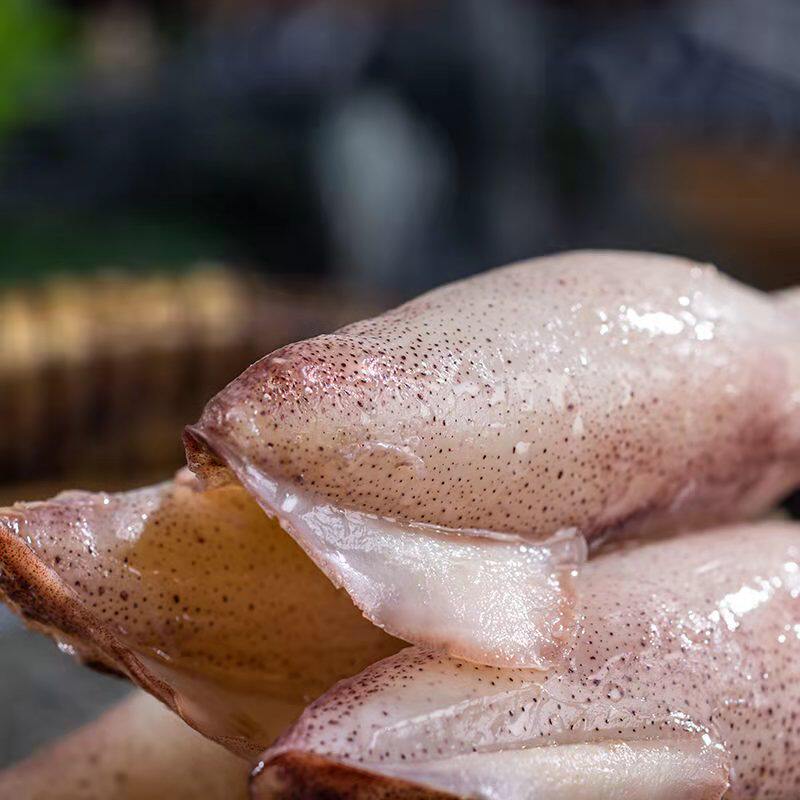 海兔鲜活冷冻满籽小全籽籽乌墨鱼笔管2斤海产品冷冻墨鱼