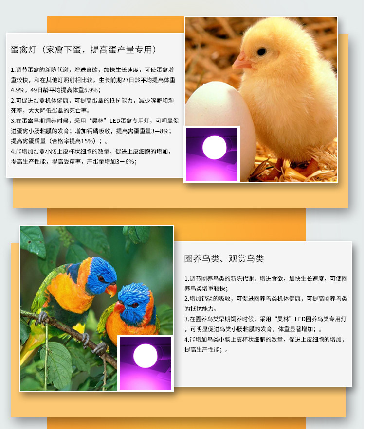 昊林动物补光灯管猫狗鸽子鹦鹉猪龟鸟类繁殖led灯管