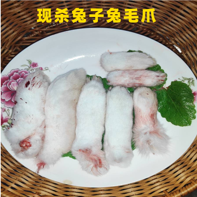 兔爪新鲜带骨兔毛毛爪宠物零食一份10个全店其它生肉制品