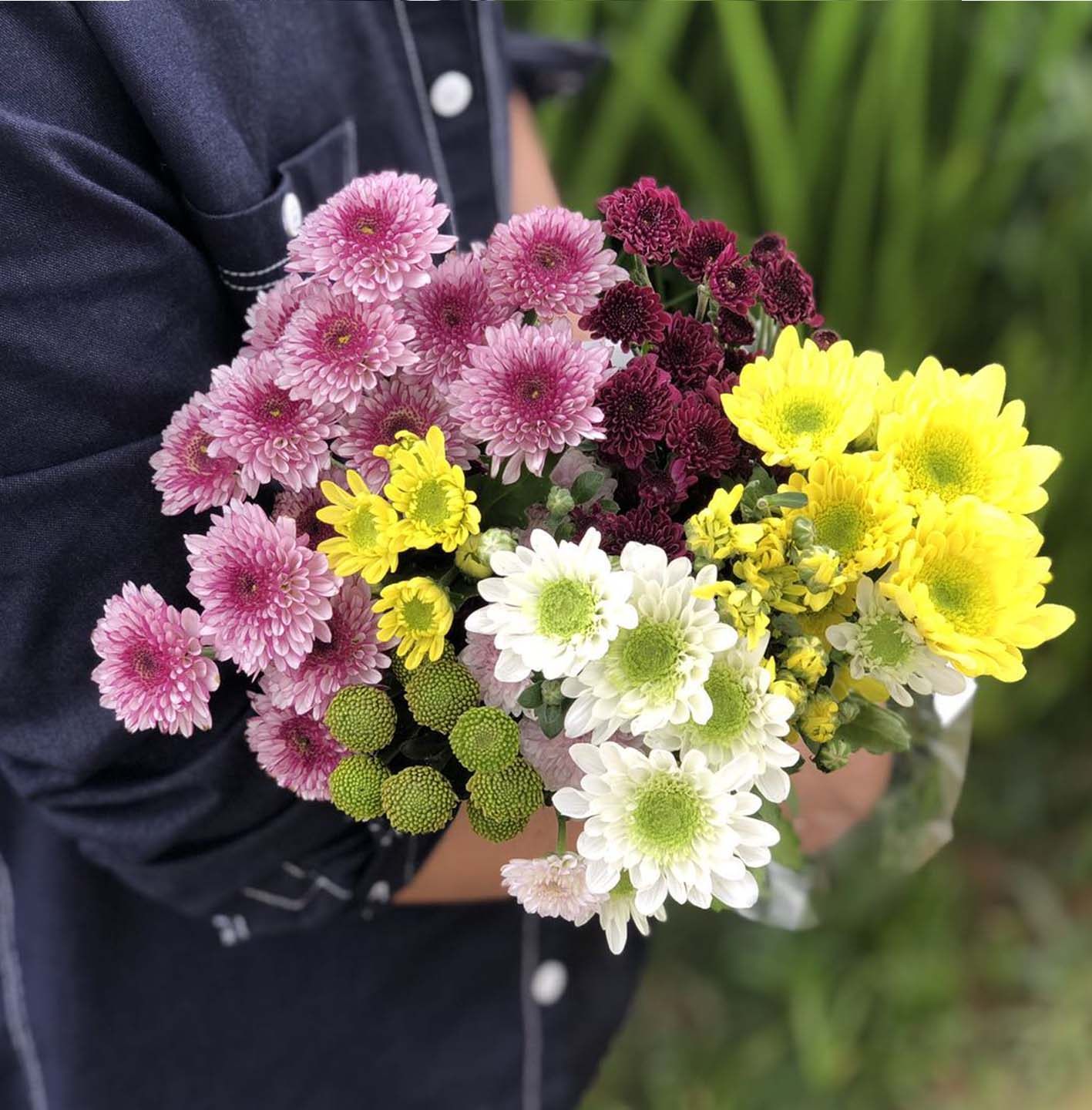 鲜花云南助农菊花直发家用商务商务办公办公室瓶插鲜花速递同城