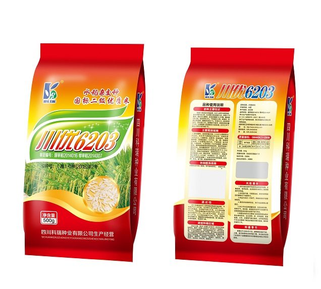 贵妃水稻种子川优6203好吃得很500g包邮长谷农技服务