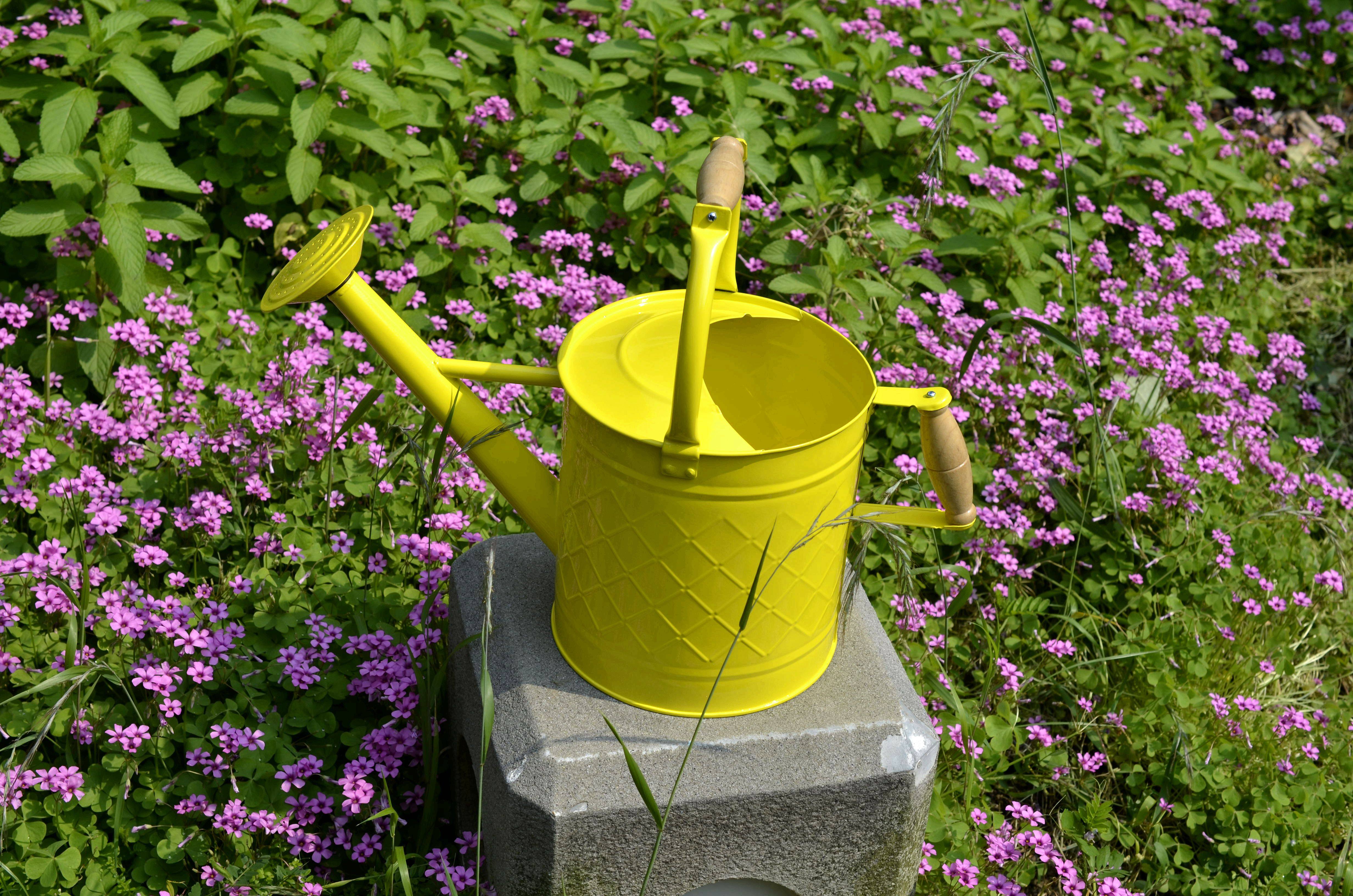 水壶田园乡村花园铁制园艺活动喷头木柄把彩色洒水洒水