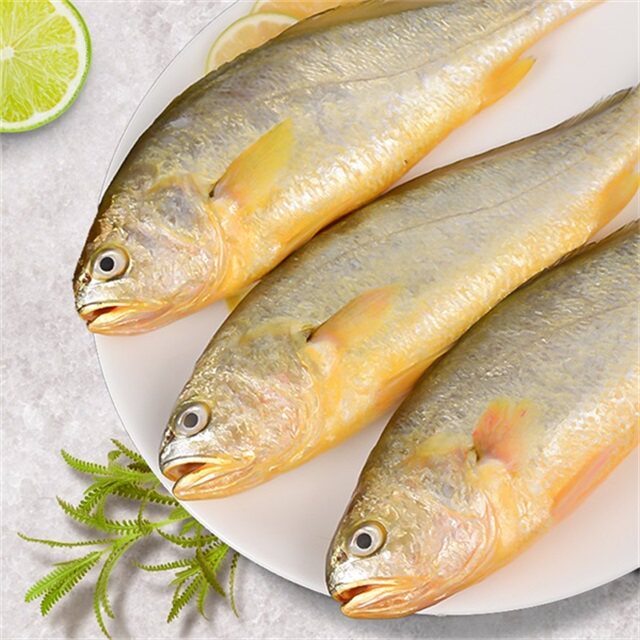小黄东海黄鱼冷冻黄花鱼新鲜海鲜水产鲜活海鱼黄鱼