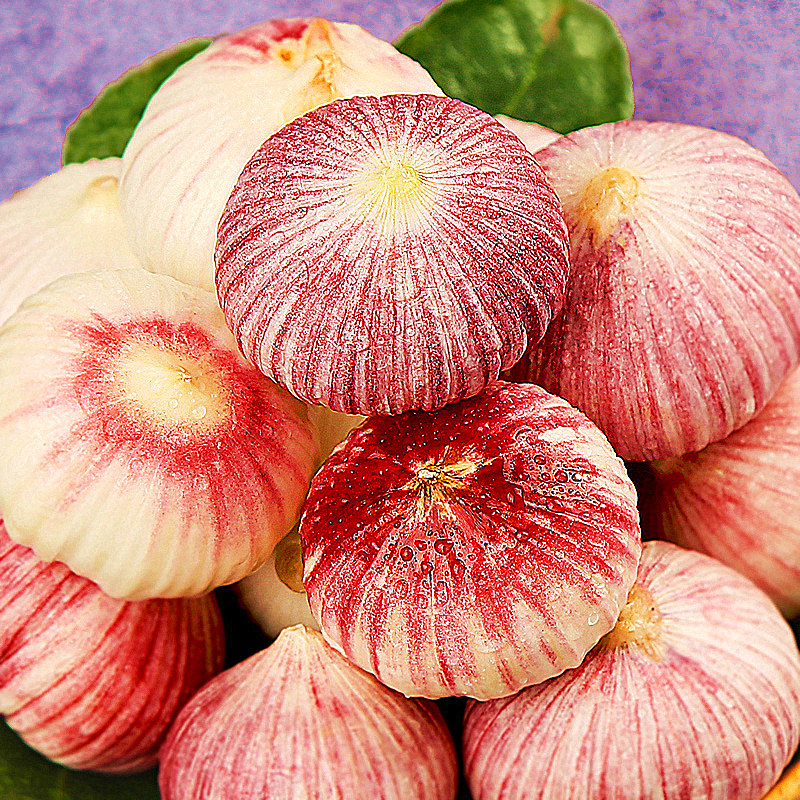 独头大蒜云南新鲜蒜紫红皮湿蒜独蒜5斤紫蒜大蒜