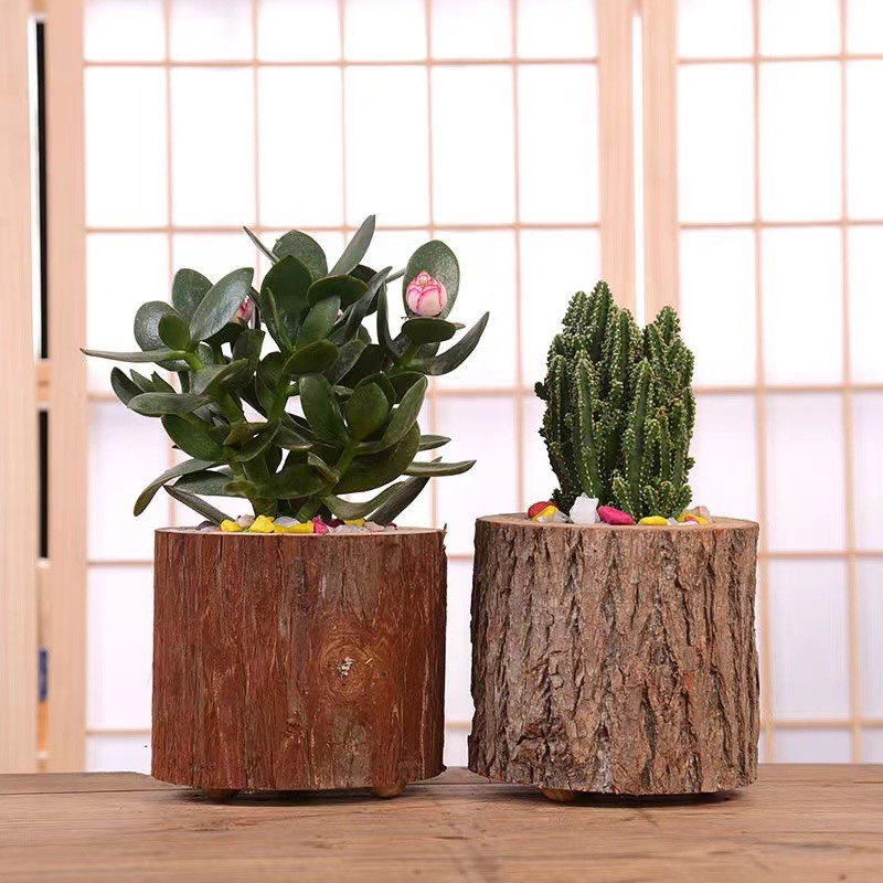 石斛花盆木头铁皮创意原生态木桩多肉专用室内花盆