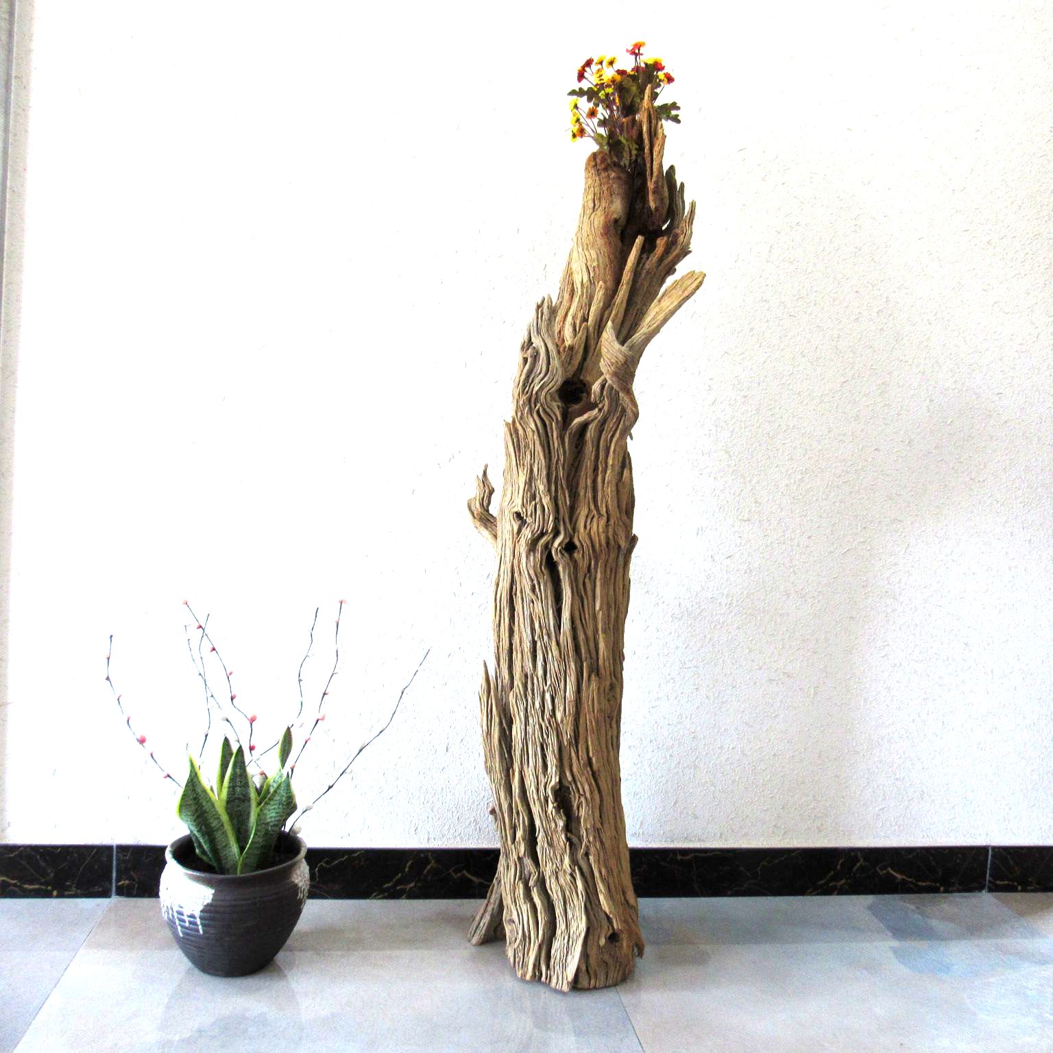 千年胡杨风化枯木朽木根艺随形摆件自然禅意摆件