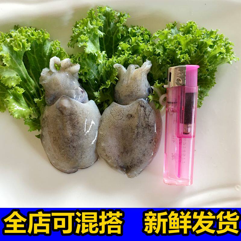 墨鱼鱿鱼新鲜墨斗鱼冷冻水产10元250g冷冻墨鱼