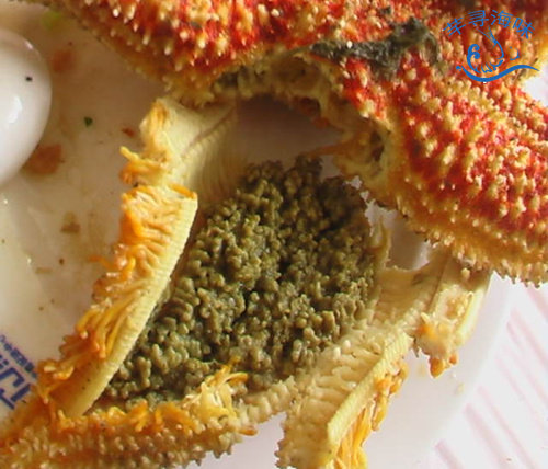 海鲜鲜活海五星微蒸海鲜野生新鲜满籽海星包肥鲜美满籽12.5/250g