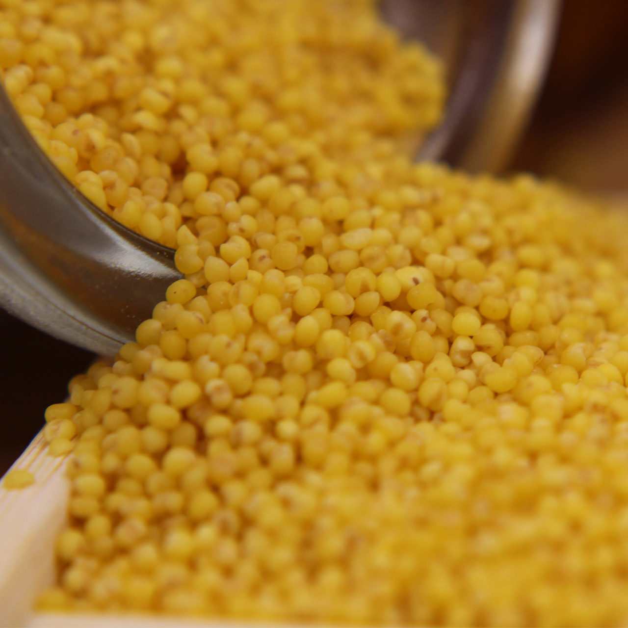 小米米粥朱碌科东北黄小米250g4袋五谷杂粮米吃朝阳小米