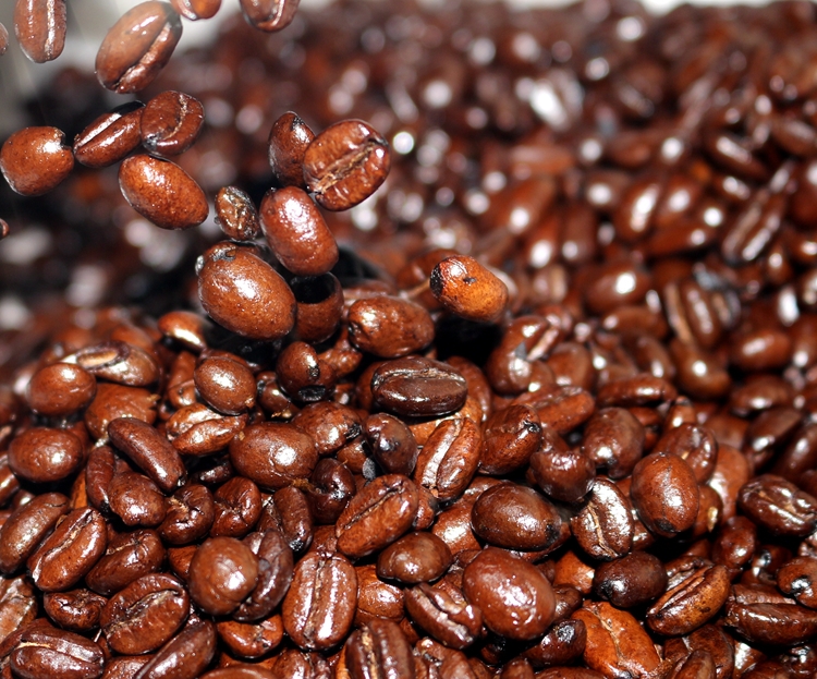 意式高晟庄园经典咖啡豆新鲜烘焙云南保山小粒咖啡豆