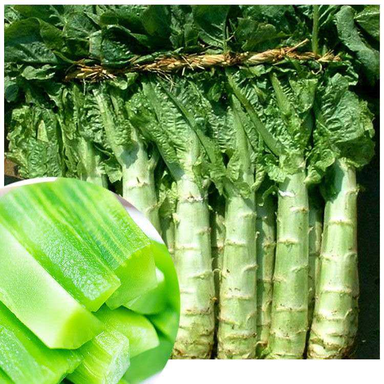 新鲜蔬菜笋青莴笋5斤包邮农家自种应季莴苣其它