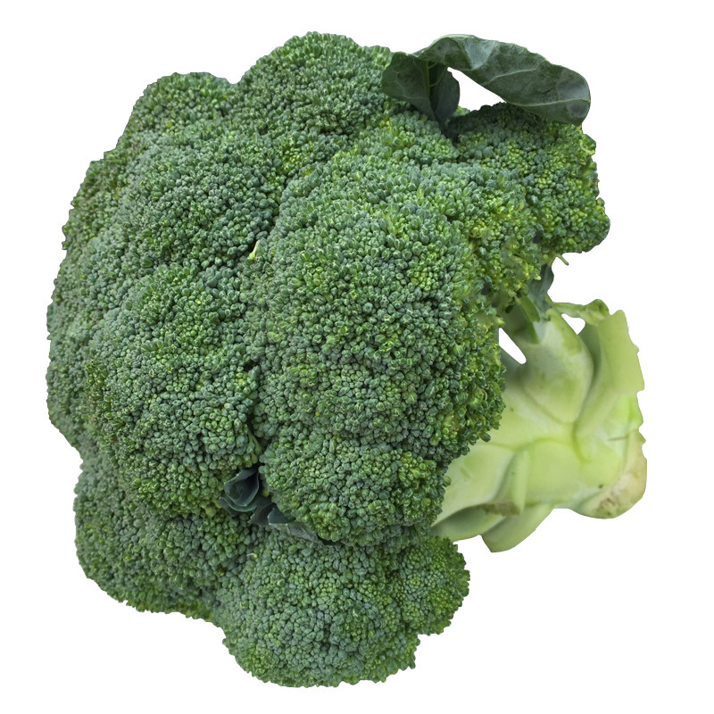 西兰花 密云新鲜蔬菜办沙拉绿花菜花椰菜宝宝辅食鲜嫩1个300克