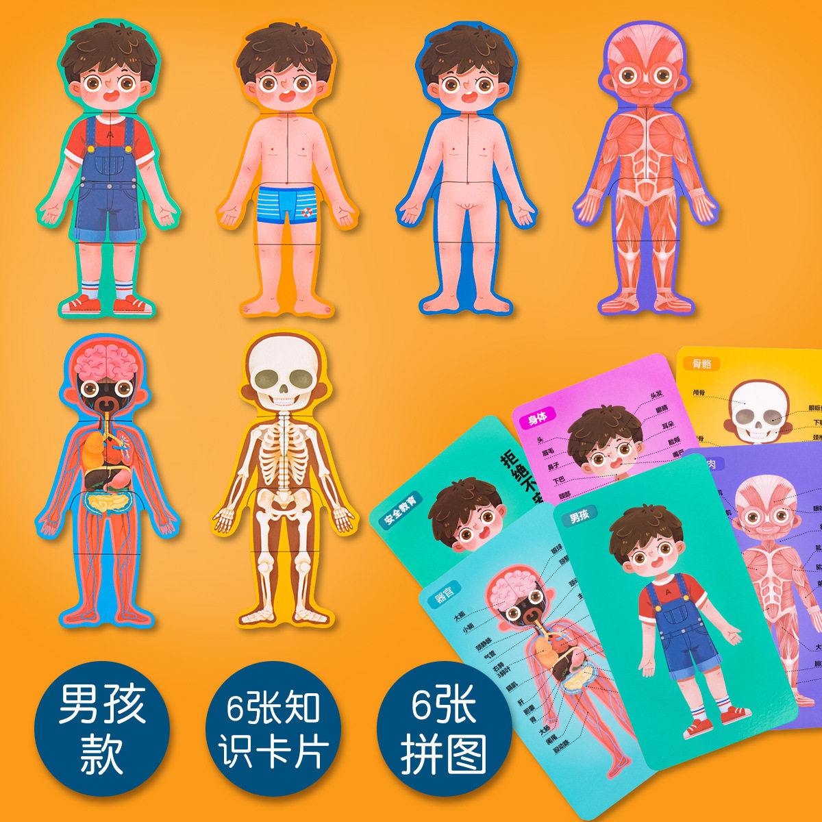 幼儿园早教科学区域益智区认识身体结构拼图小班拼图