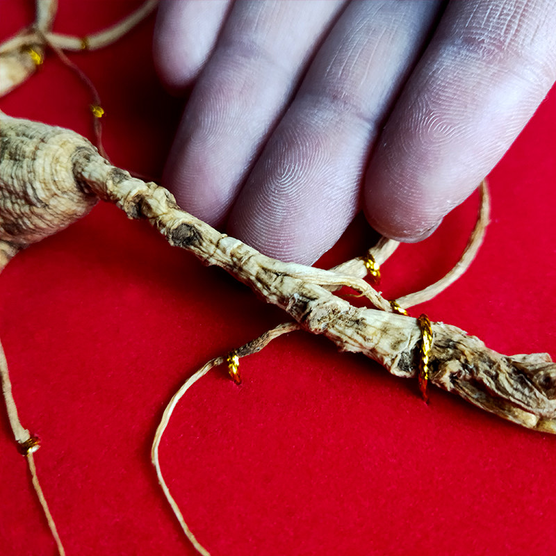 林下野山30年长白山高级野人人参野生正宗东北山参