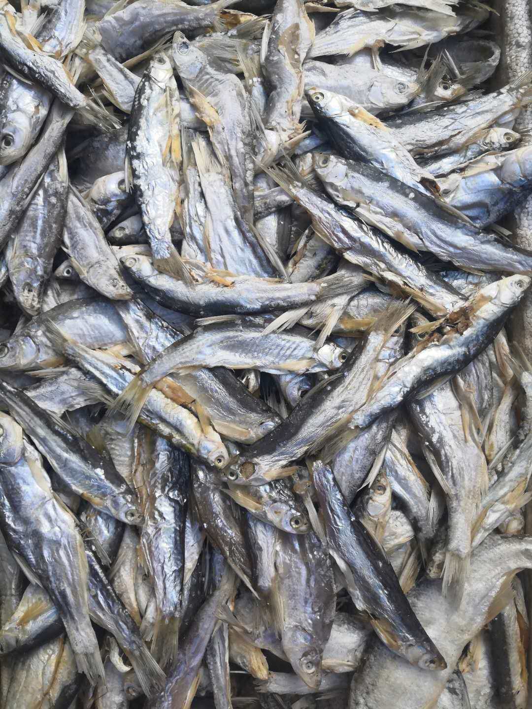 野生麻鲢小白漂鱼500克一斤黑龙江兴凯湖特产一条鱼干