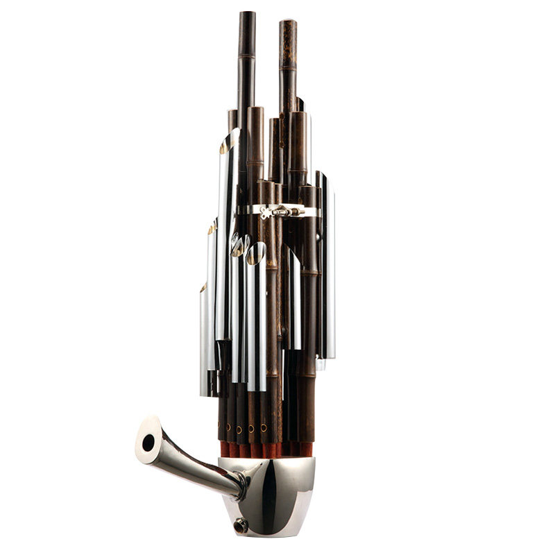 乐器簧笙初学者专业成人儿童入门民族送笙配件笙